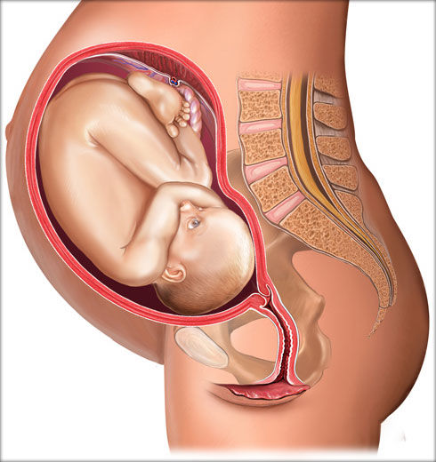 <b>子宫性不孕的预防应该怎么做呢</b>
